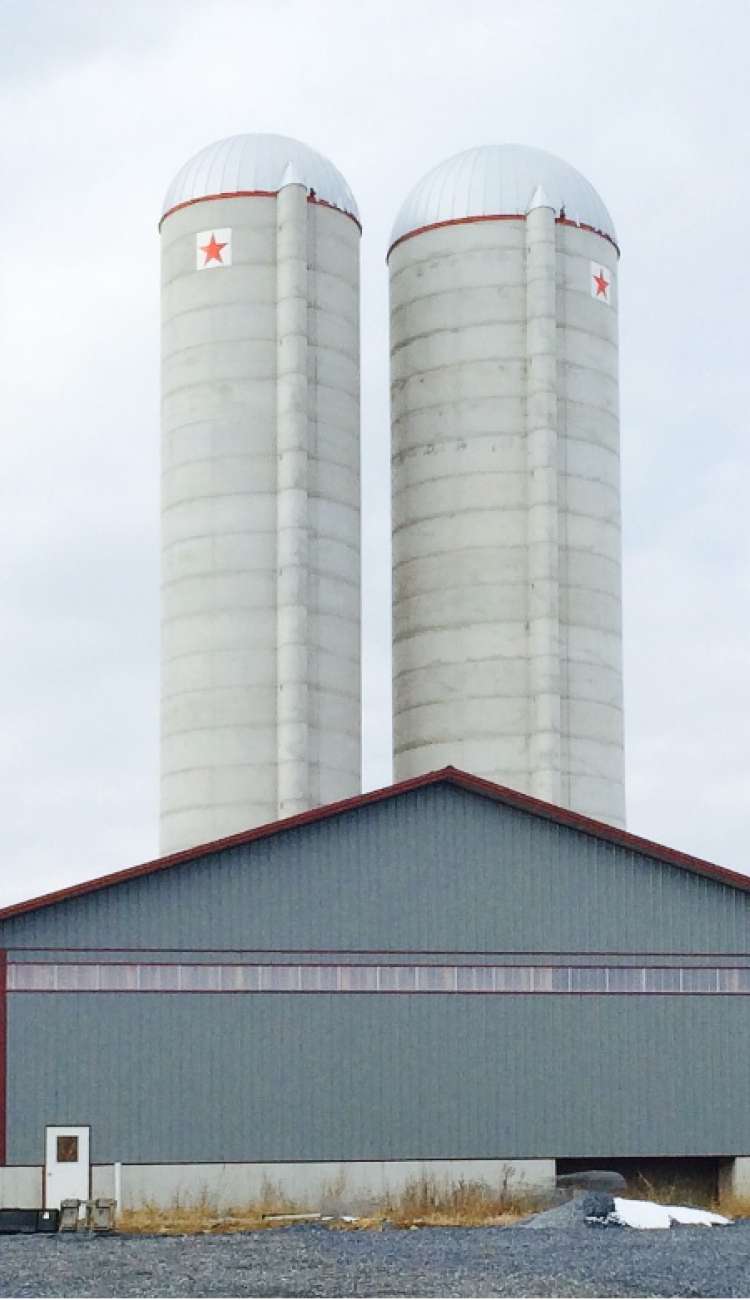 Brubaker farm silos